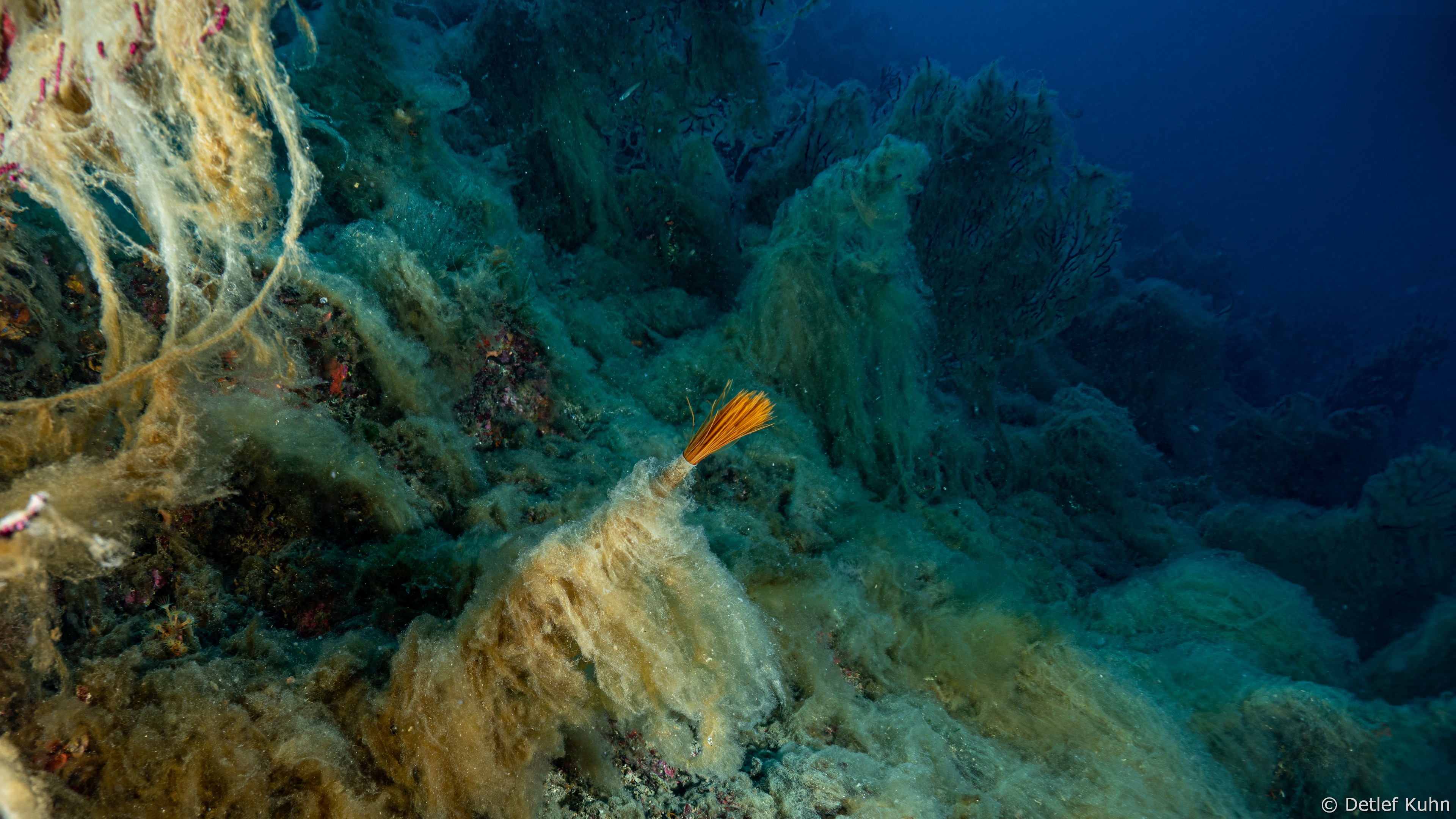 Punta della Torretta	