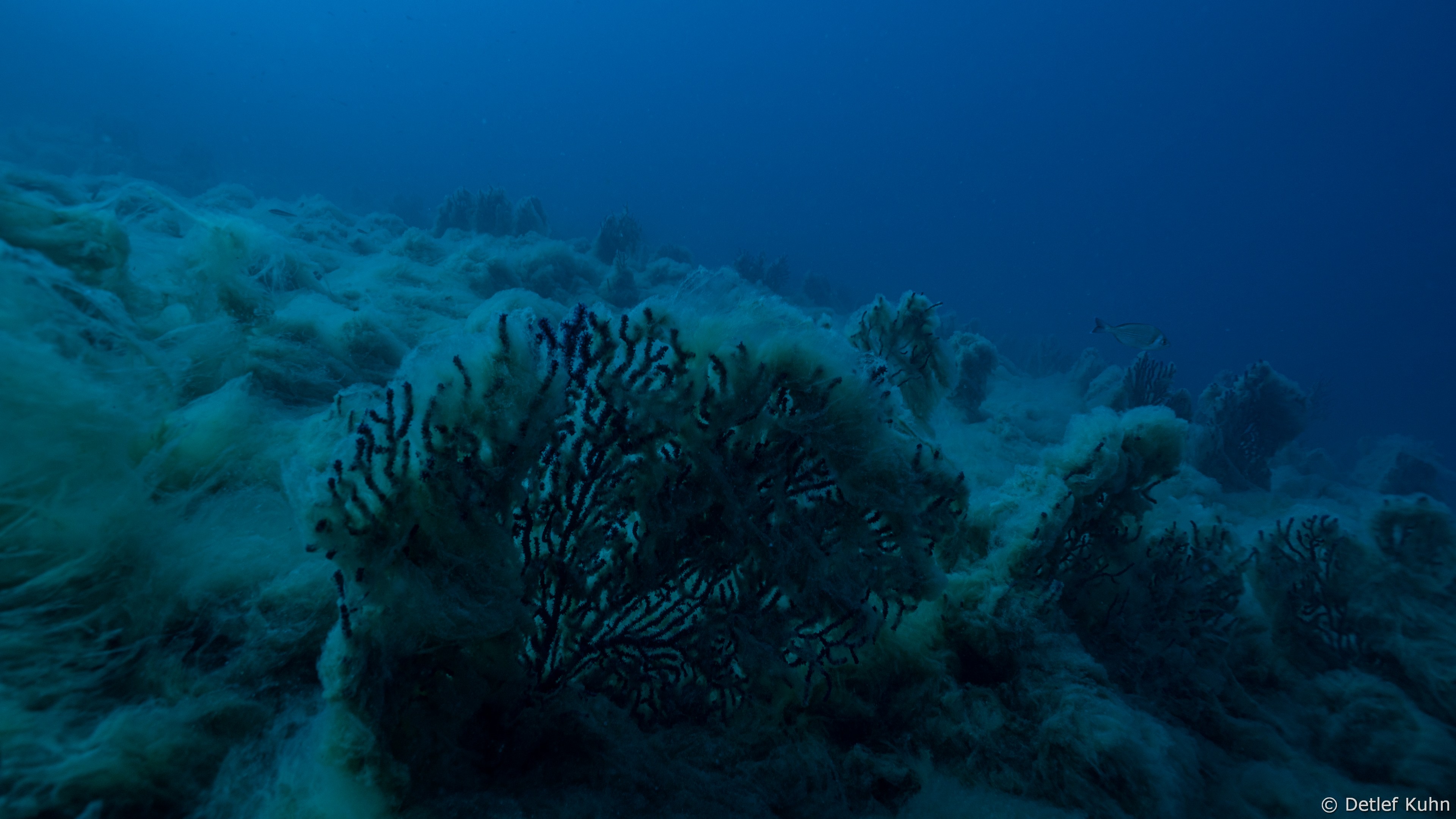 Punta della Torretta 	