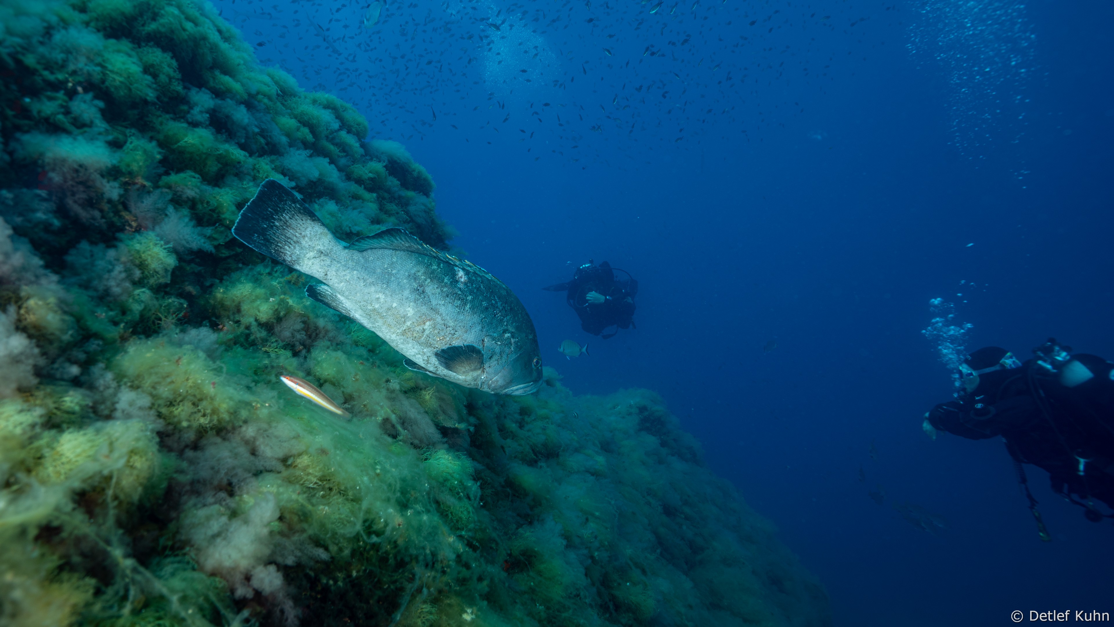 Punta della Torretta	