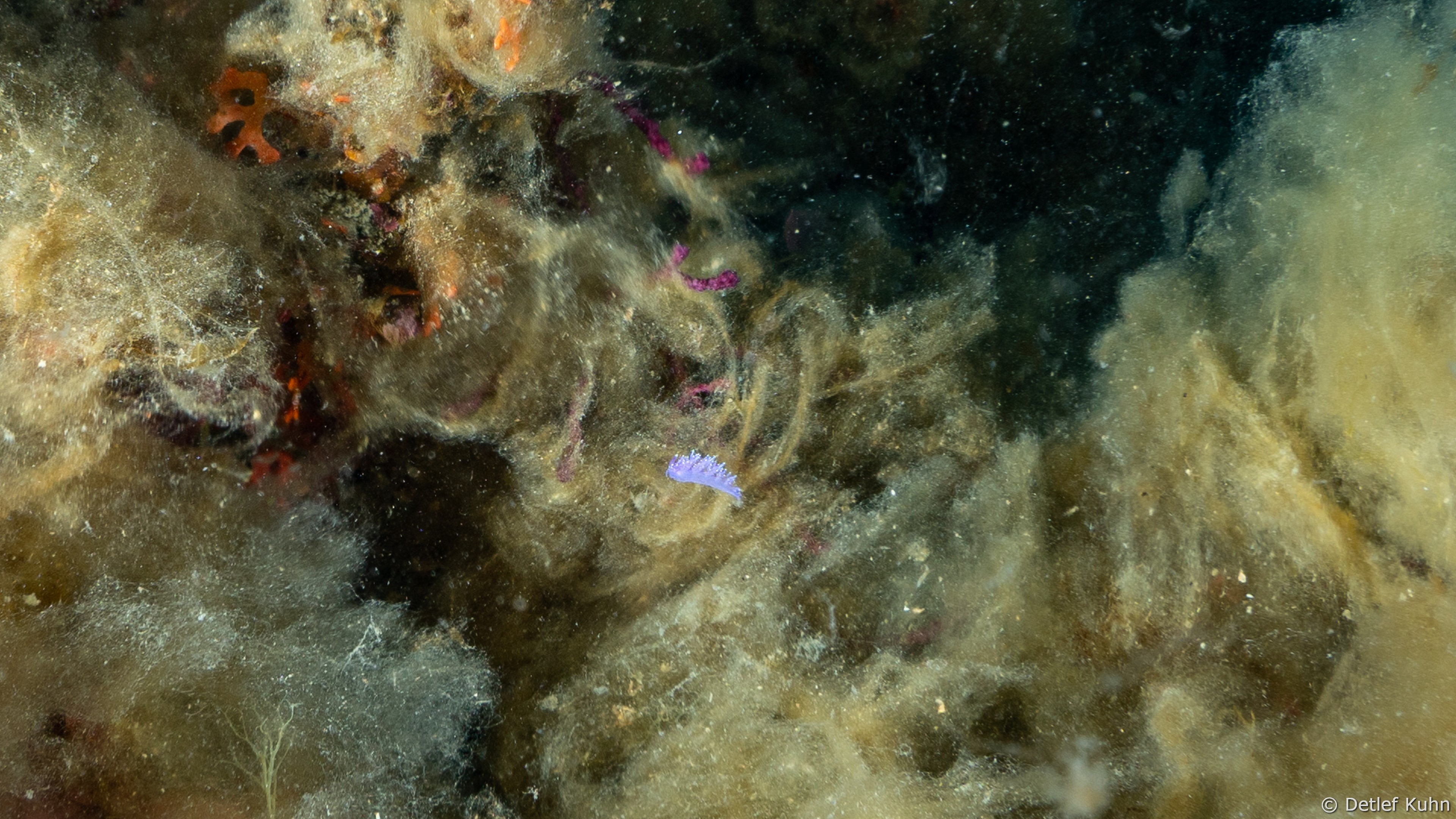 Punta della Torretta	