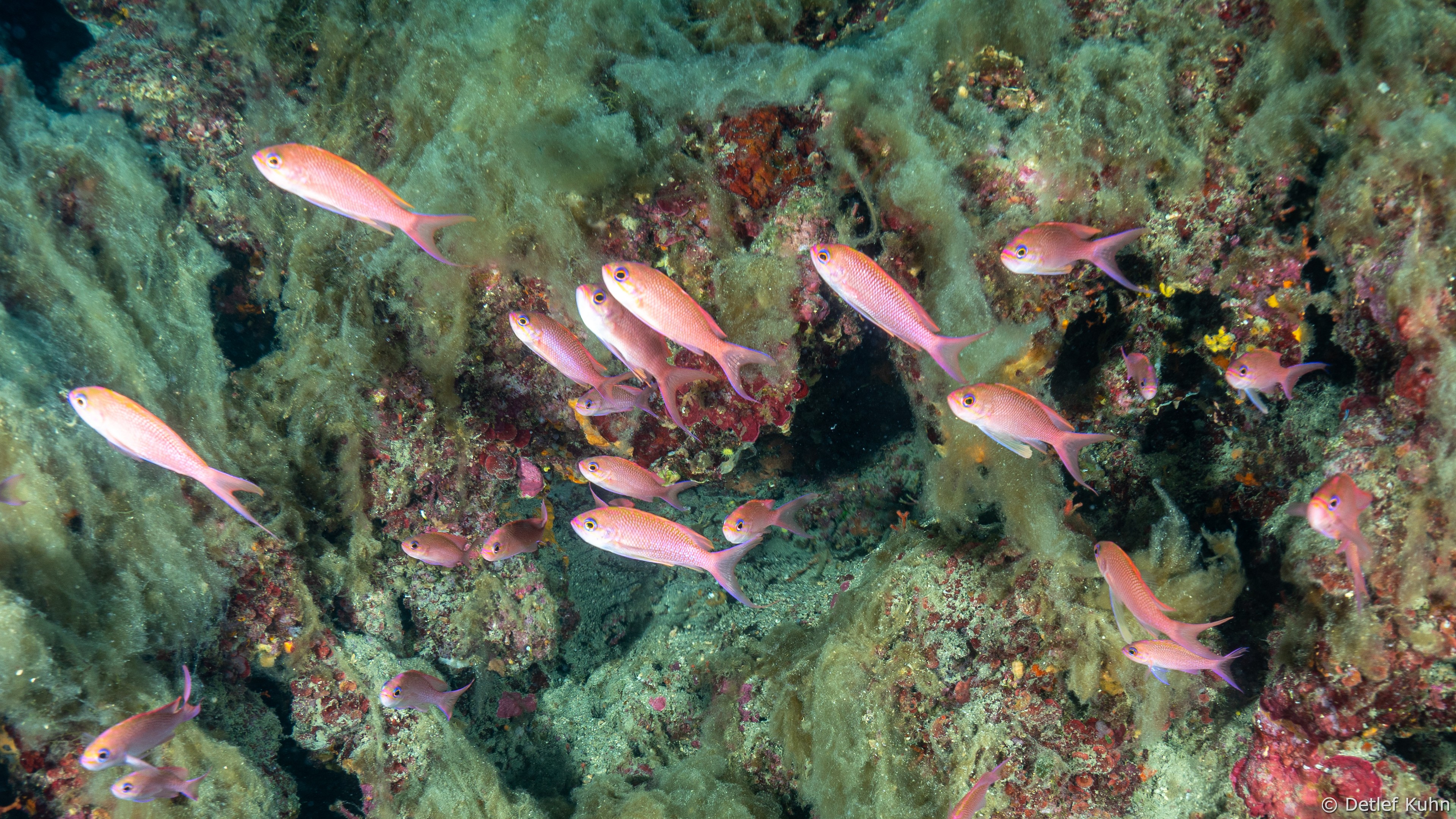 Punta della Torretta	