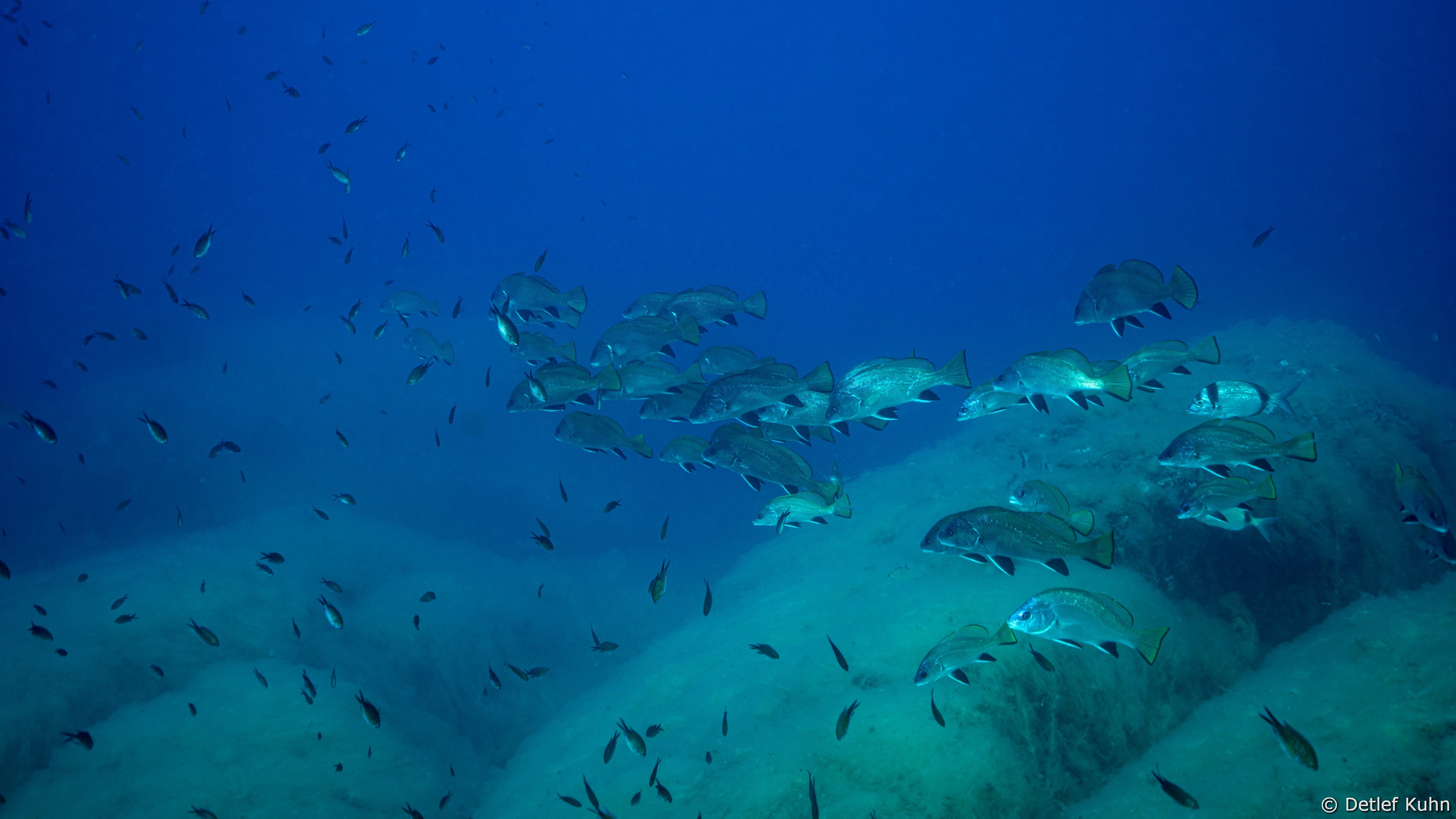 Punta della Torretta	
