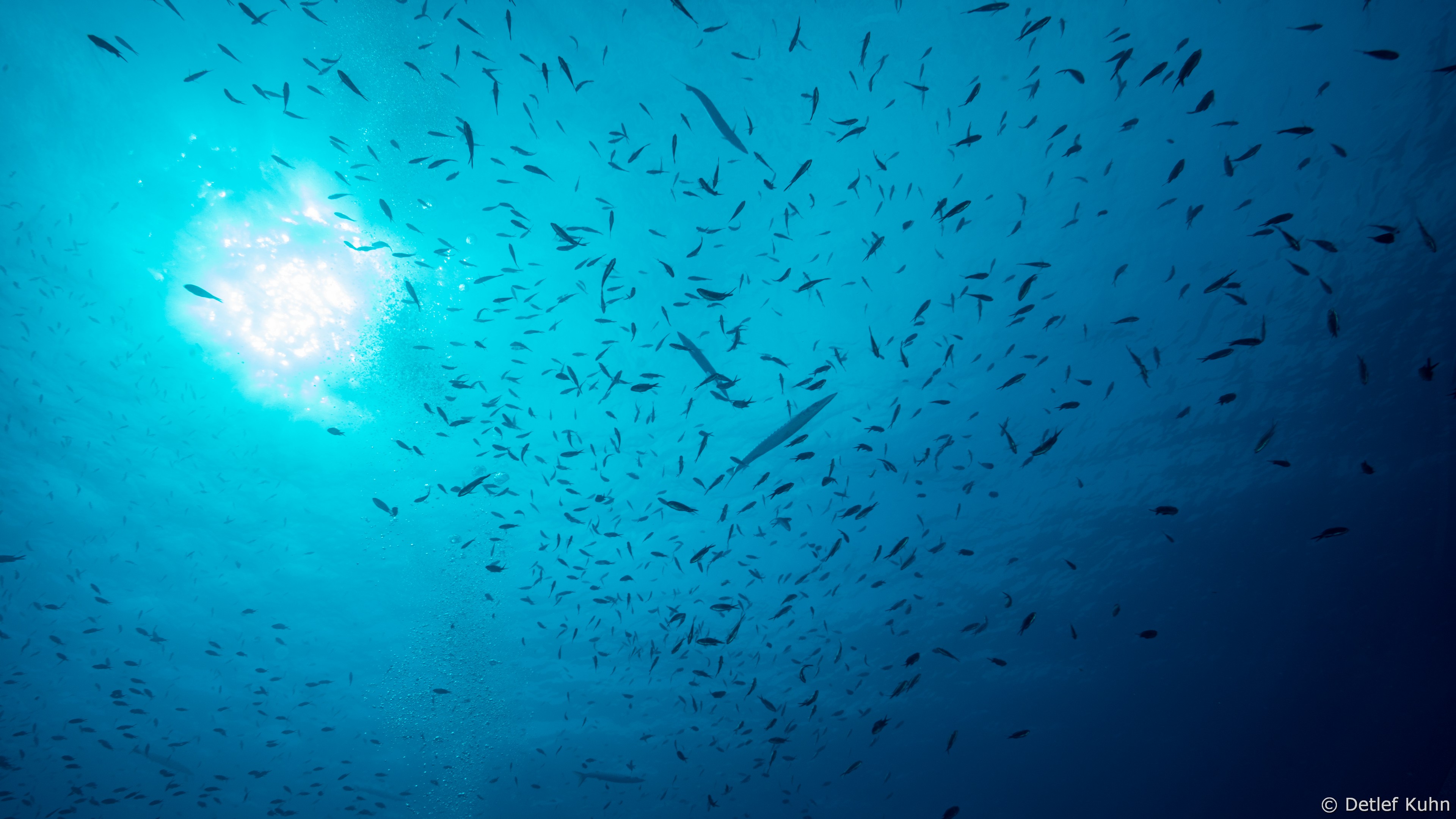 Punta della Torretta	