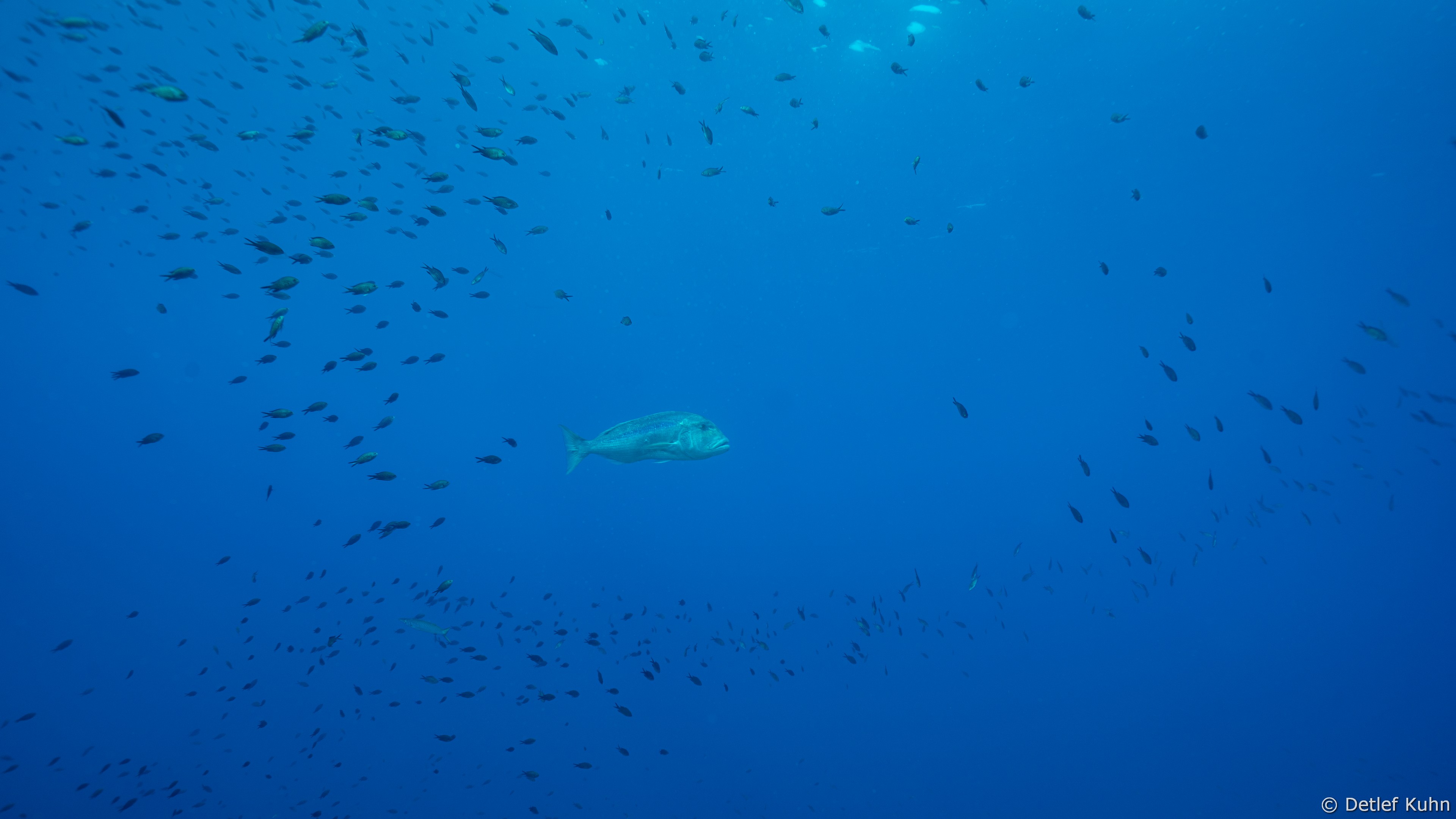 Punta della Torretta	