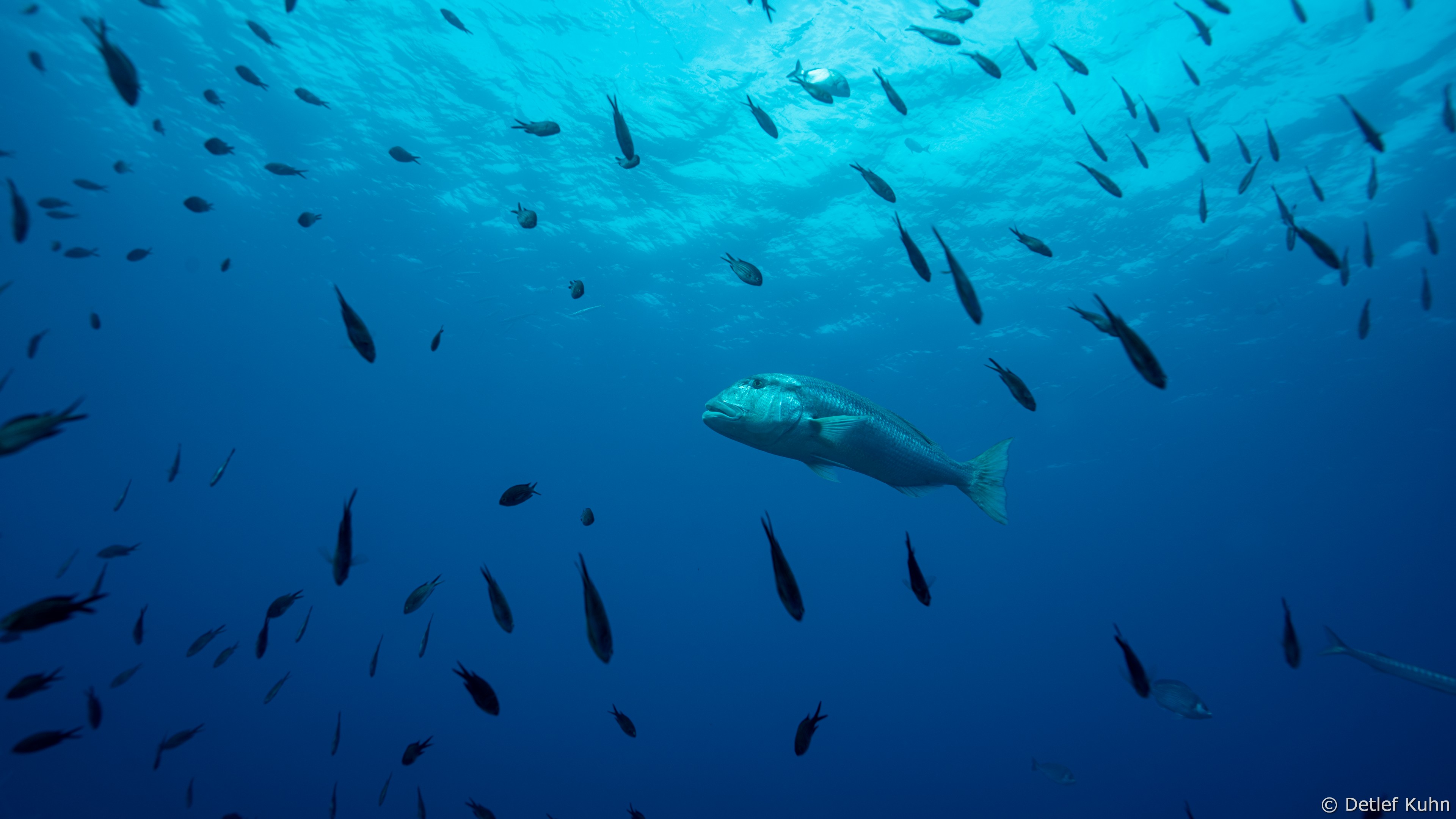 Punta della Torretta	