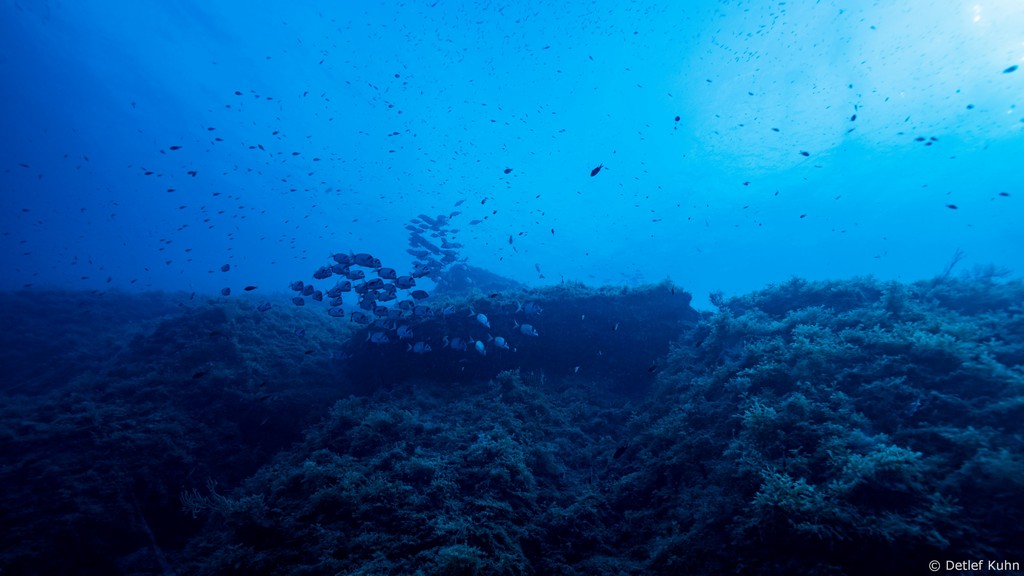 Punta Chiappa Levante	
