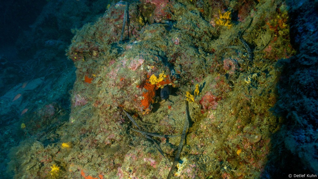 Punta Chiappa Levante	