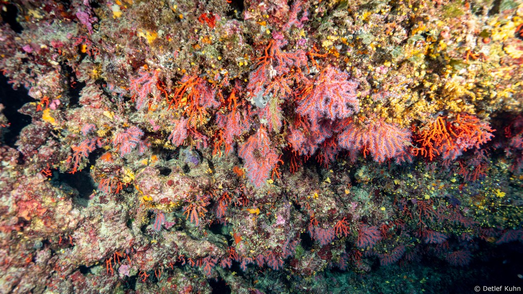 Punta della Targhetta	