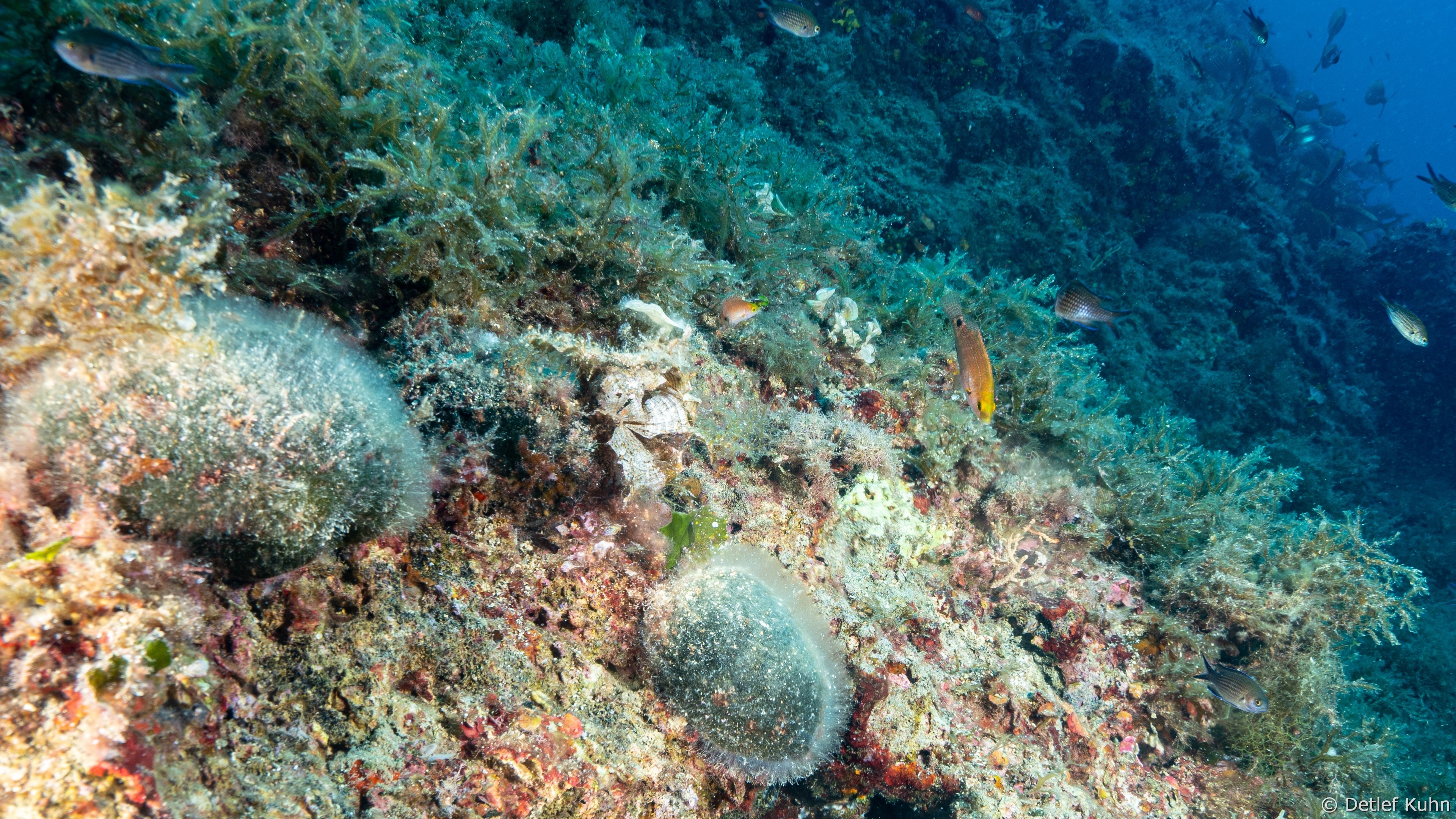 Punta della Targhetta	