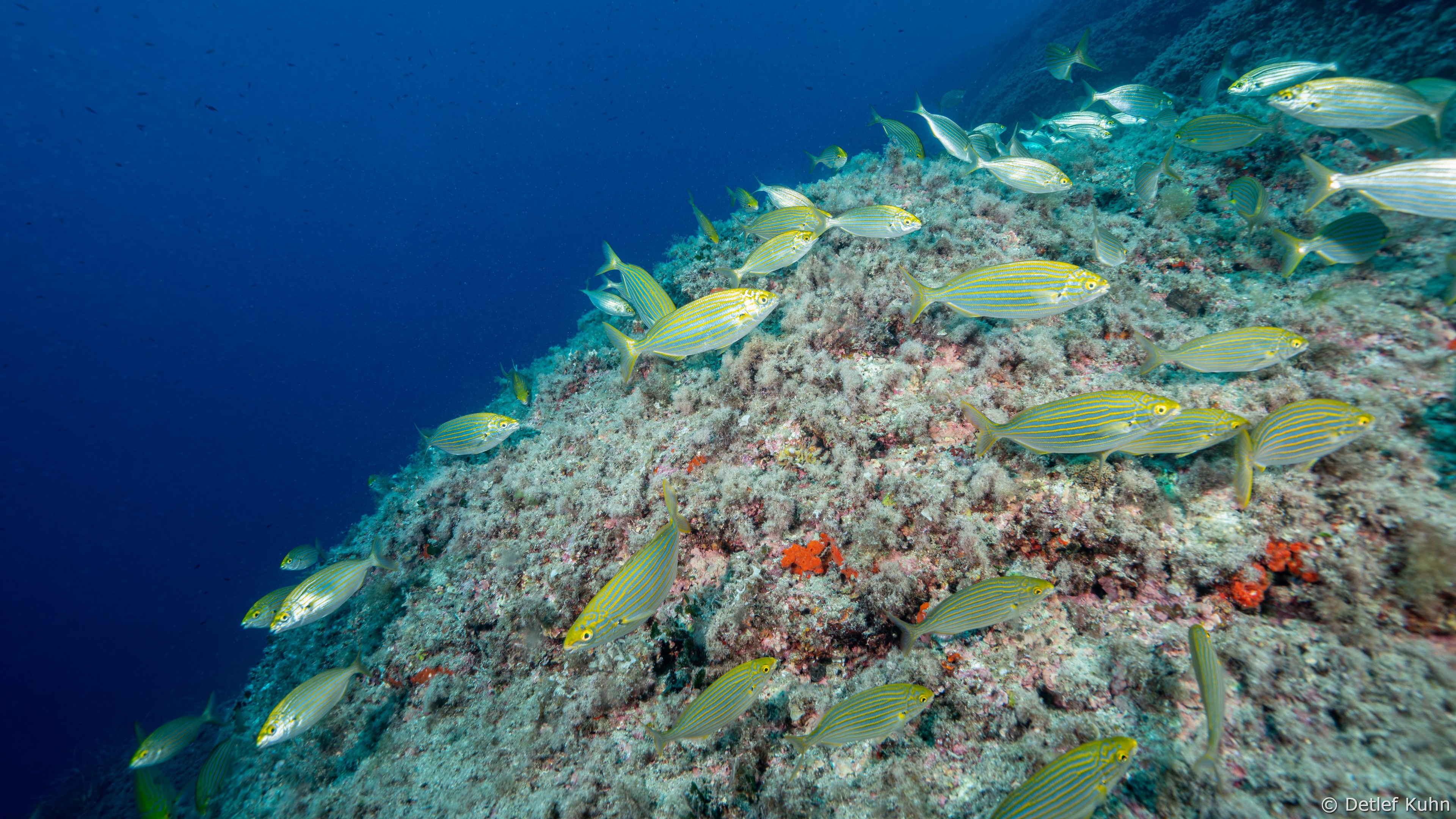 Punta della Targhetta	
