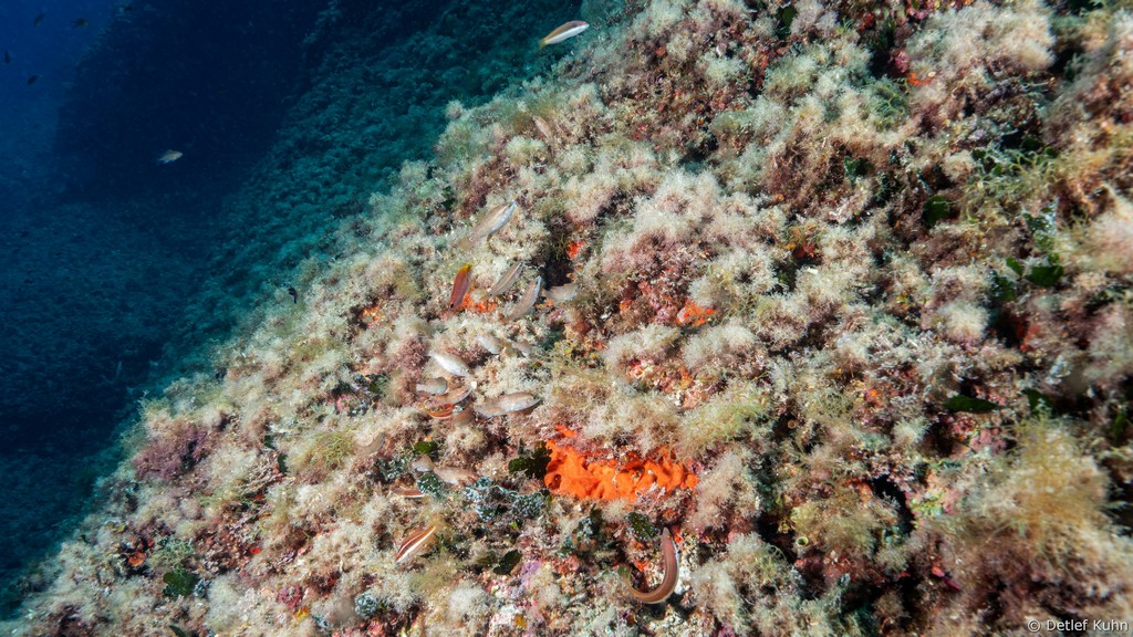 Punta della Targhetta	