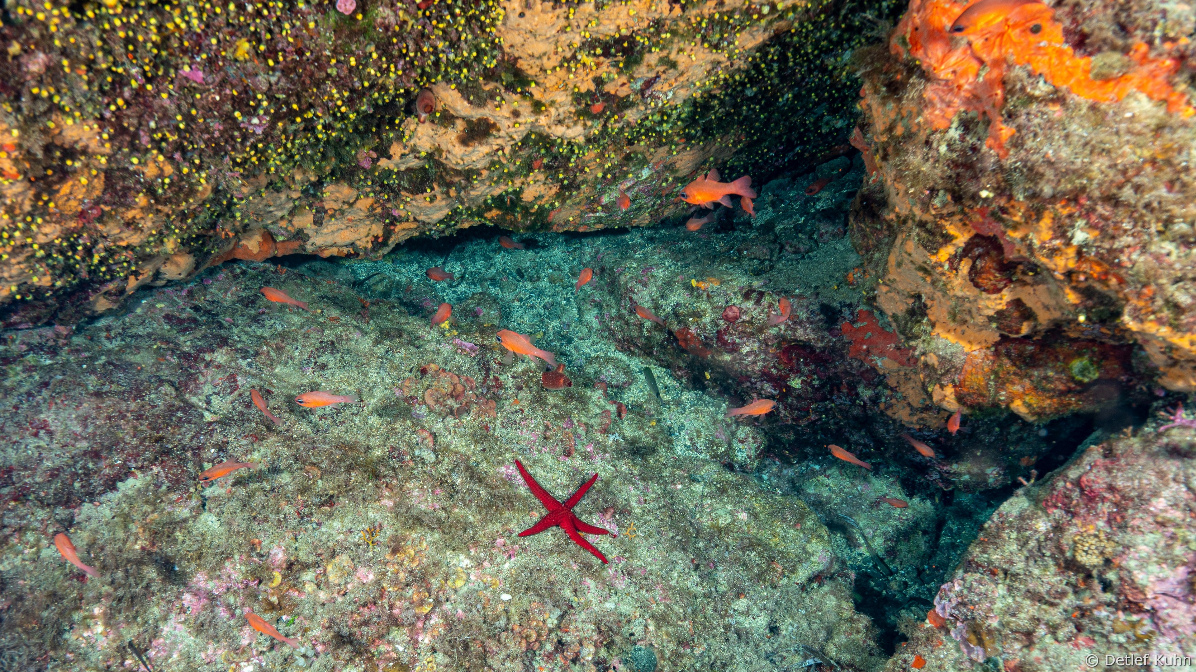 Punta della Targhetta	